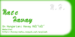 mate havay business card